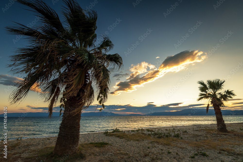 Coconut palm trees against colorful sunset wall mural wallpaper ...