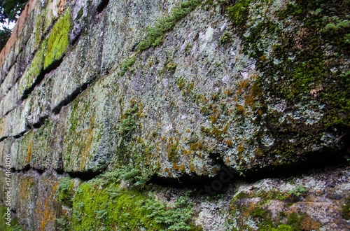 Brick wall with moss and lichen