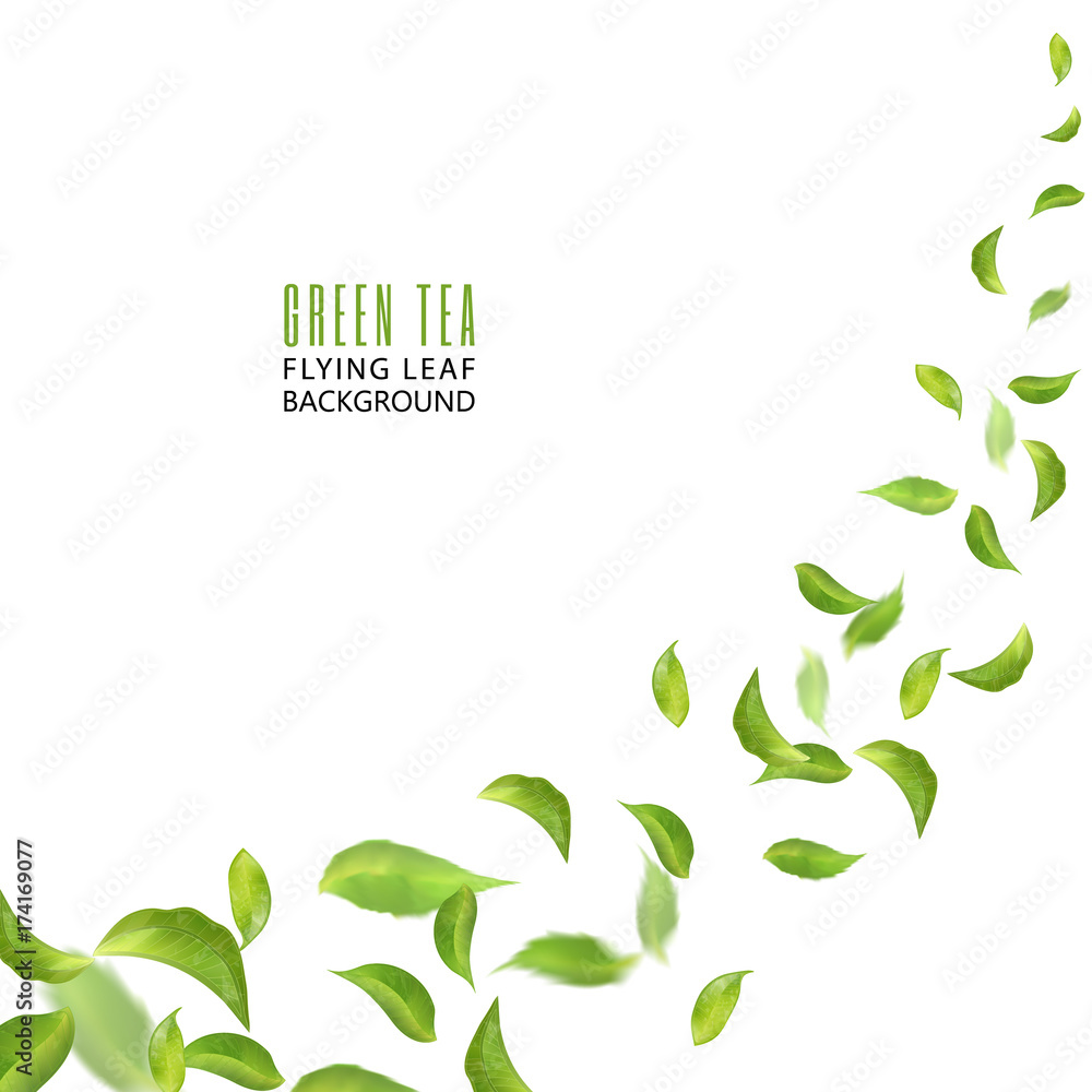 Obraz premium Flying green leaves on white background. Leaves in the wind. Fresh spring foliage. Vector illustration. Tea advertising concept, environment and ecology backdrop