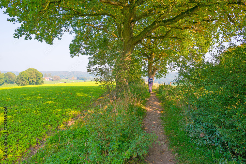 Path through a field in sunlight in autumn