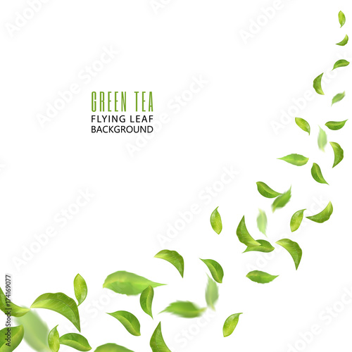 Flying green leaves on white background. Leaves in the wind. Fresh spring foliage. Vector illustration. Tea advertising concept, environment and ecology backdrop