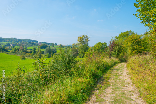 Panorama of a field on a hill in sunlight at fall