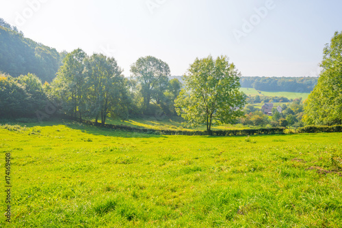 Panorama of a field on a hill in sunlight at fall