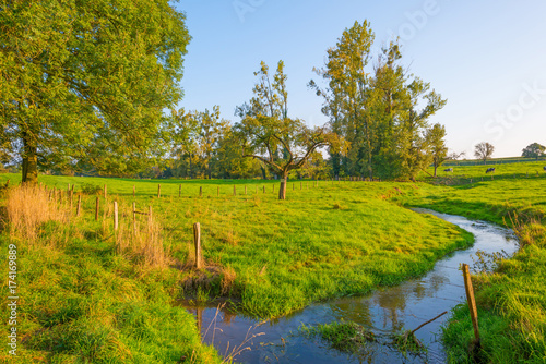 Stream flows through a meadow in sunlight in autumn