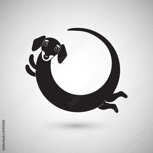 Cute funny dachshund dog, round logo, vector illustration