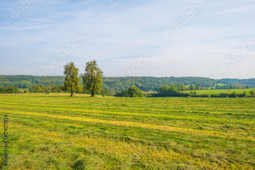 Panorama of a field on a hill in sunlight at fall