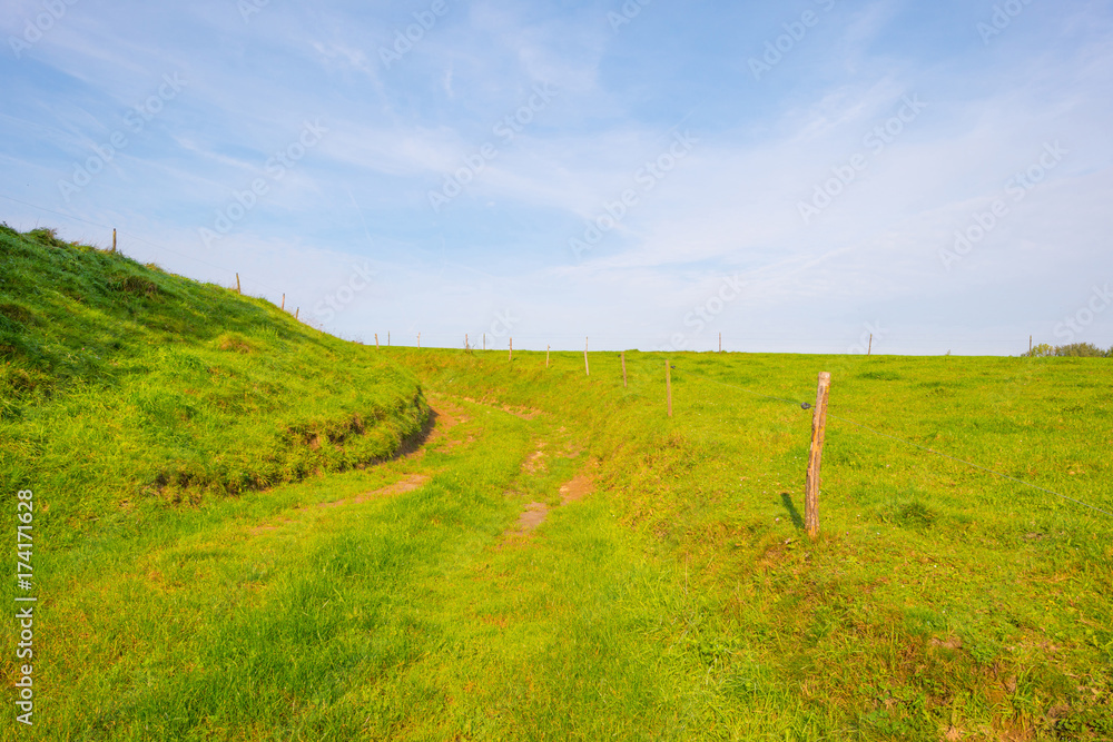 Obraz premium Path through a meadow in sunlight in autumn