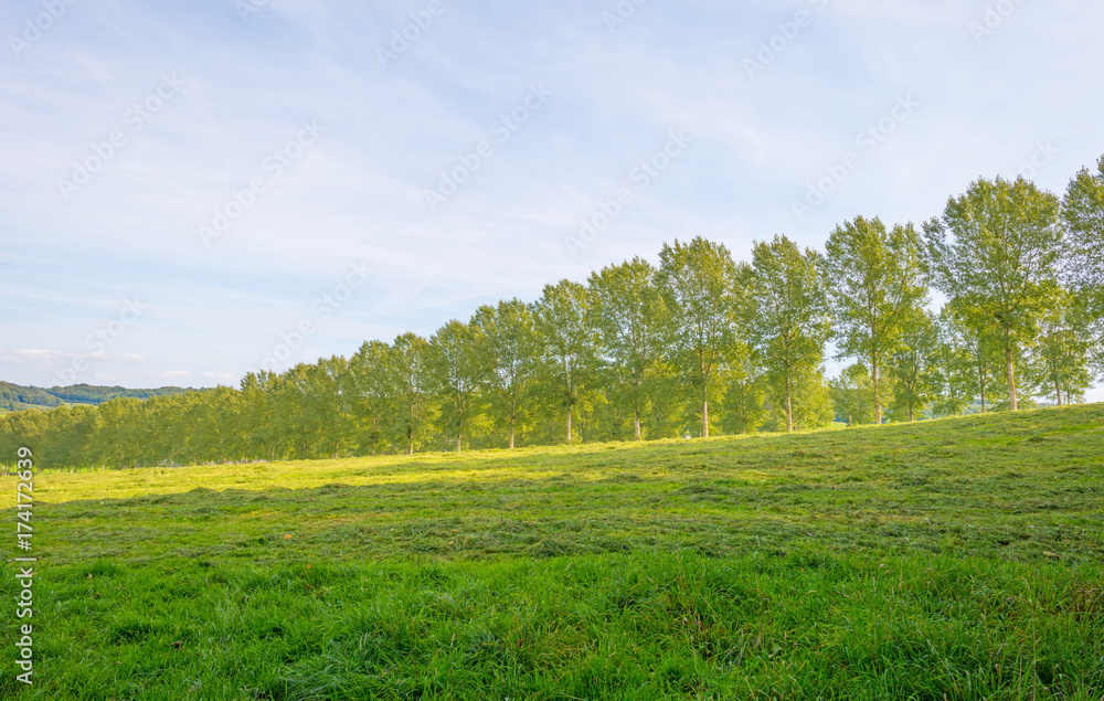 Panorama of a green meadow on a hill in sunlight at fall