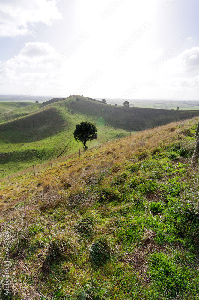 Obraz premium Vert landscape diagonal features