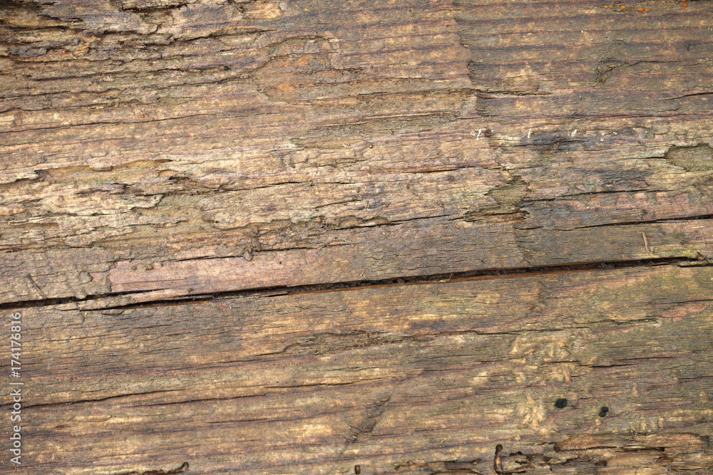 The texture of the old tree is brown. Background of the board with cracks and chips. The texture of the old tree is brown. Background of the board with cracks and chips.