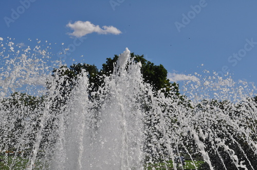 Wasser & Baum