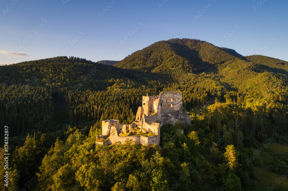 Abandoned ruins of a medieval castle in the forest
