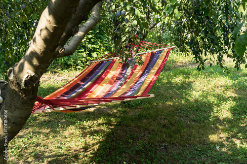 Relaxing lazy time - coloured hammock in the green forest. Beautiful landscape with swinging hammock in the summer garden, sunny day. Travel, adventure, camping gear, nature outdoors items.