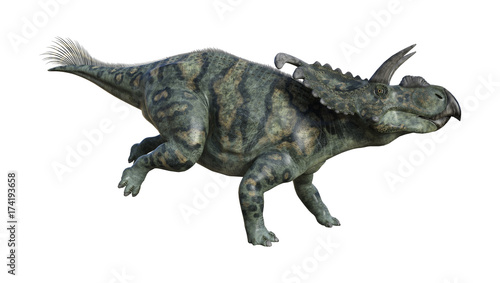 3D Rendering Dinosaur Albertaceratops on White © photosvac