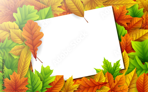Colorful autumn leaves with blank paper card