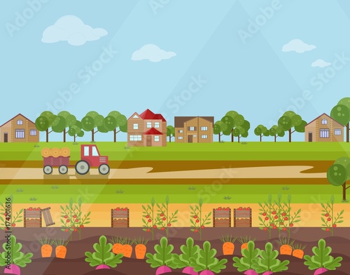 Countryside village harvest season. Vector flat style background