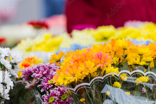 Bouquets of multi-colored chrysanthemums are sold at a street market. Yellow, blue, red, purple flowers.