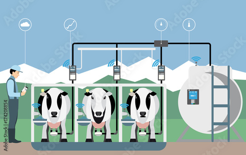 Internet of things on dairy farm. Herd management and automatic milking. Vector illustration