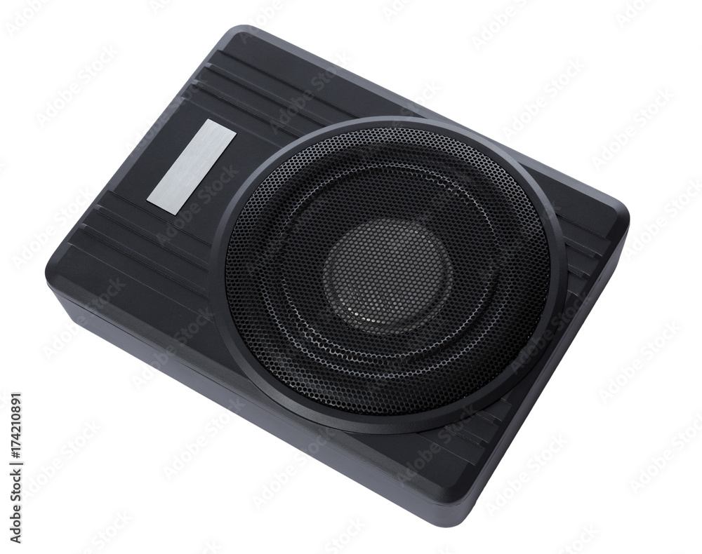 Obraz premium Bass Box on white background