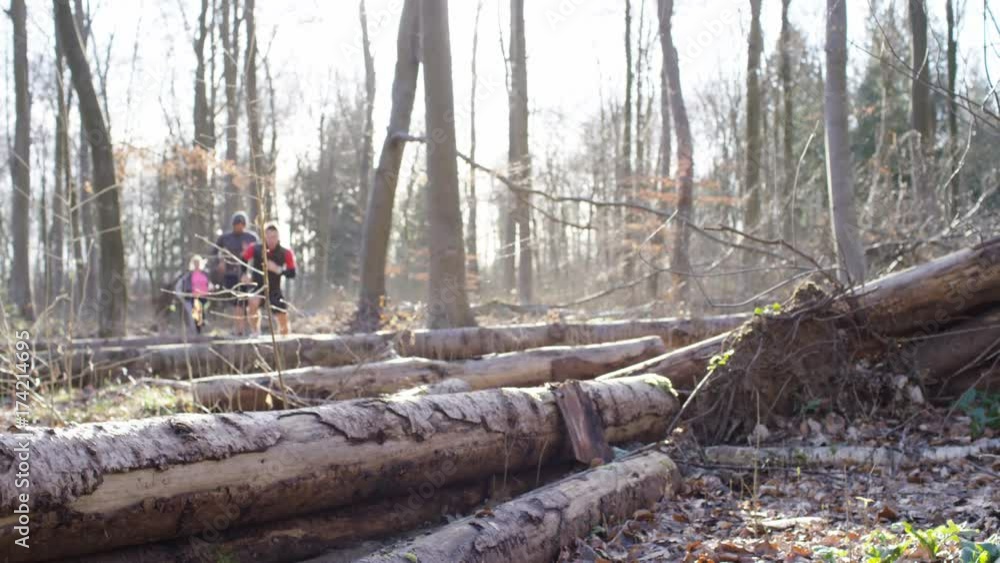 Group of runners running in forest, climbing and jumping over fallen trees. Group of runners running in forest, climbing and jumping over fallen trees.