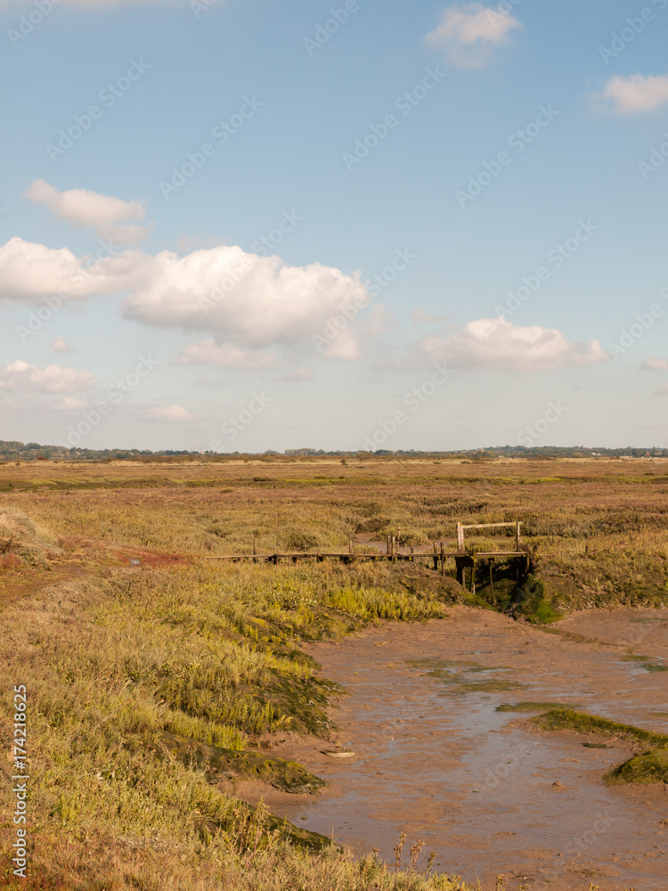 open landscape marshland scene outside empty no people grass and sky