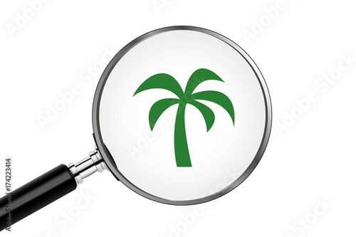 Lupe sucht/findet - Palme
