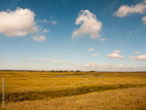 open marshland landscape scene with blue skies, clouds, and grass