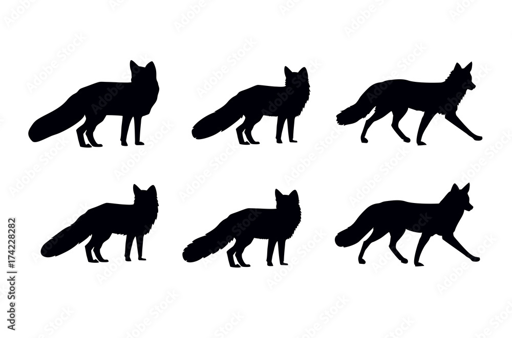 fox shape