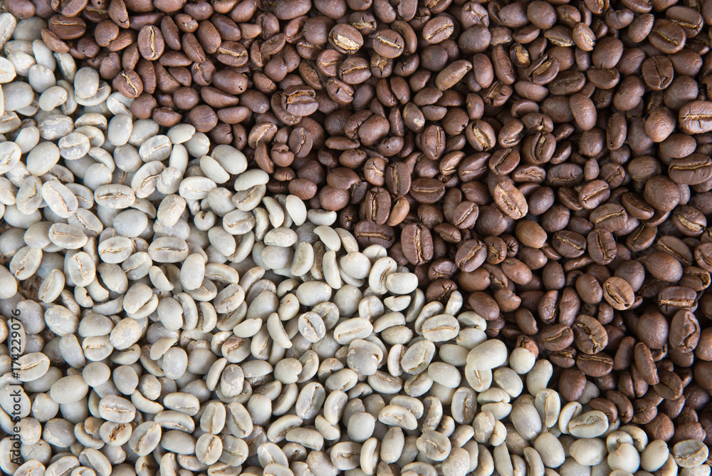 coffee beans background group of green and roasted arabica coffee beans concept of coffee state and agriculture coffee beans background group of green and roasted arabica coffee beans concept of coffee state and agriculture