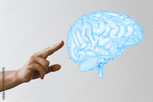 brain