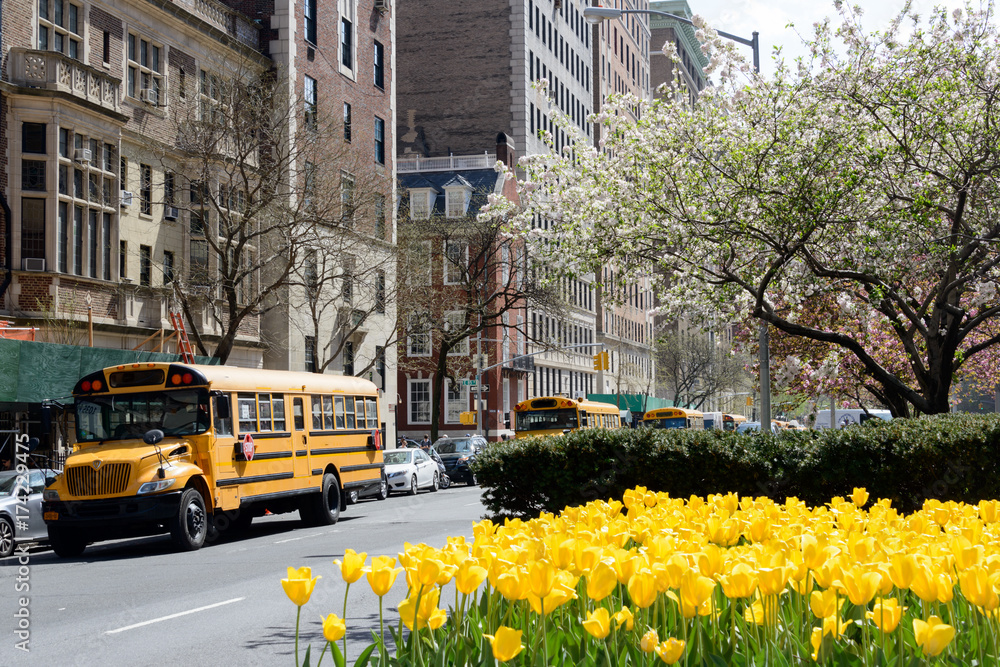 Fototapeta premium Schulbus in New York im Frühling
