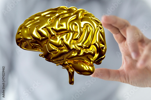 brain