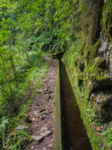 Wanderung durch die Levada do Rei auf Madeira