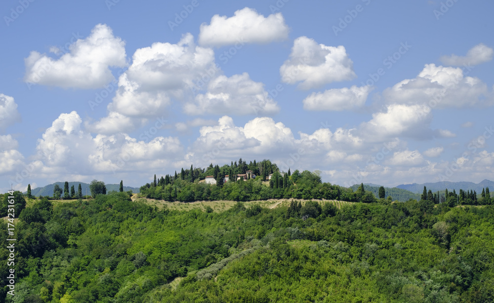 Summer landscape between Brisighella and Modigliana (Romagna, Italy)