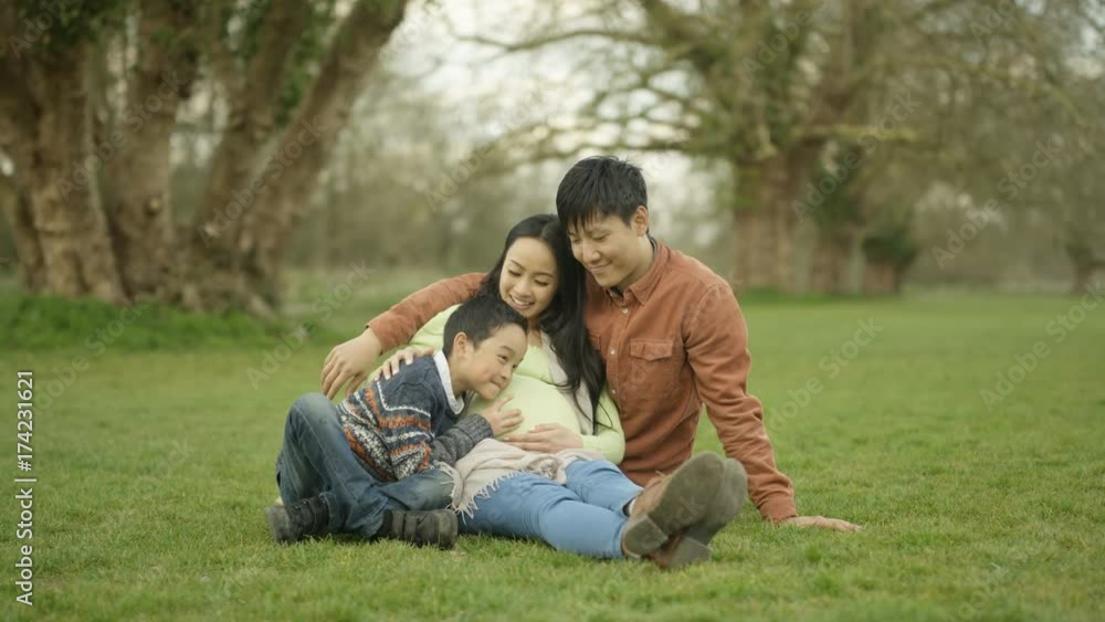 Happy family relaxing in the park parents expecting baby with cute little boy Happy family relaxing in the park parents expecting baby with cute little boy