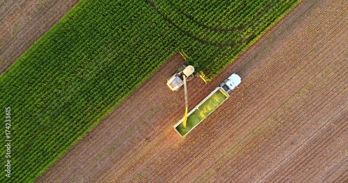 Tractors and farm machines harvesting corn in Autumn, breathtaking aerial view.
