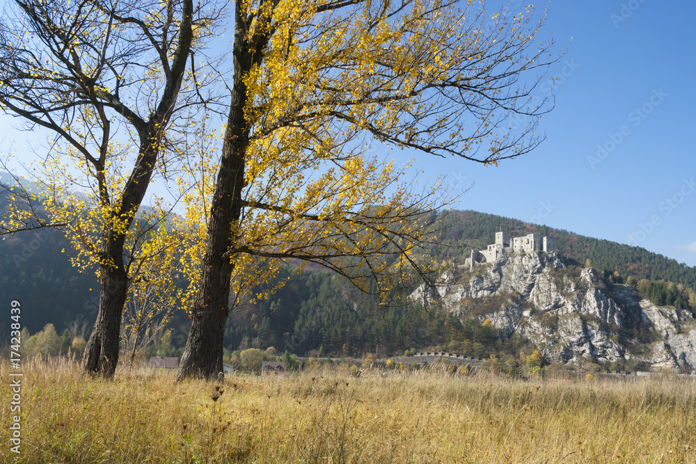 Fototapeta premium medieval castle Strecno, Slovakia