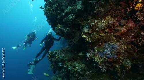 Wallpaper Mural Scuba divers exploring coral reef wall at Bunaken Island, Sulawesi, Indonesia  Torontodigital.ca