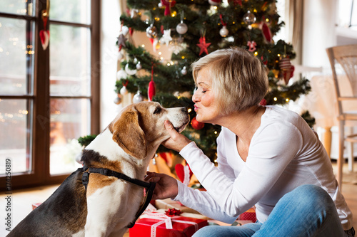 Senior woman with dog in front of Christmas tree