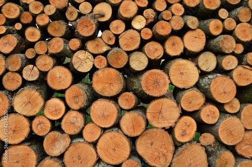 Cut and stacked firewood logs - Natural wooden Background