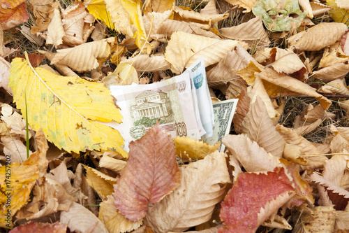 Money is sprinkled with fallen leaves. A few paper bills fell to the ground in autumn foliage. The money is lost. Found paper money   *