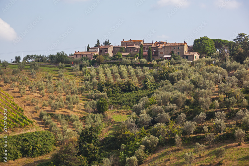 Traditional  Tuscany village is surrounded by olive trees and vineyards in the Chianti region, Italy
