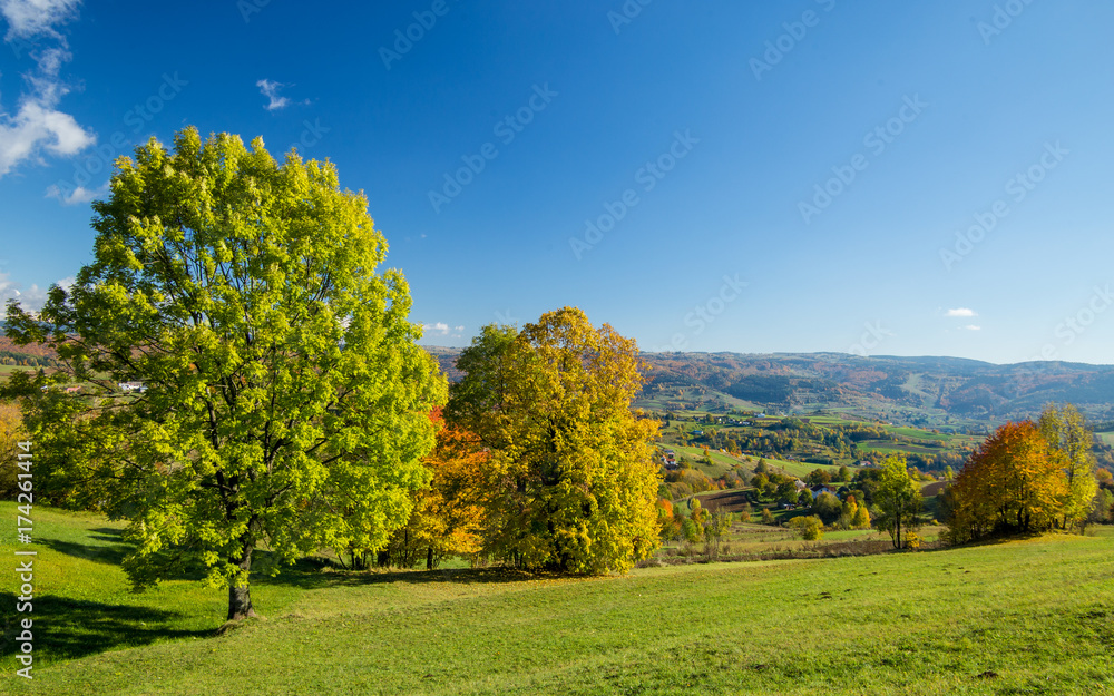 Hrinova autumn beautiful Slovakia landscape