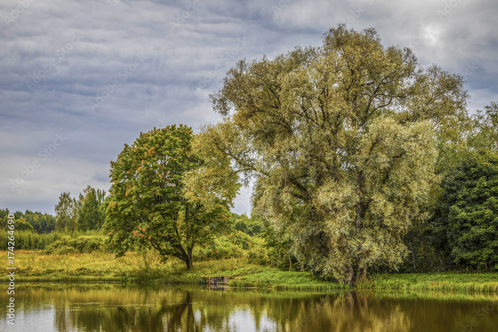 beautiful autumn nature views with leaves, water and beautiful colors beautiful autumn nature views with leaves, water and beautiful colors