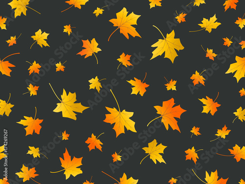 Autumn leaves. Background with fall maple leaves. Flying foliage on dark background. Autumn vector design 