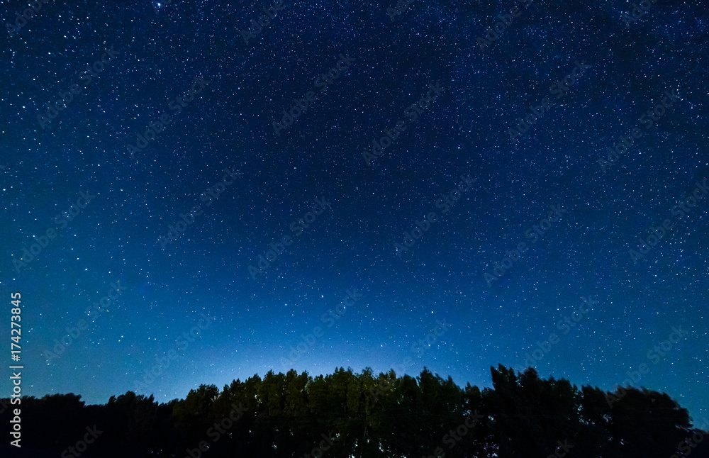 Naklejka premium Starry sky over the forest.