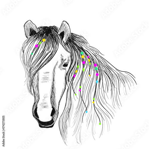 Bohemian Horse drawing