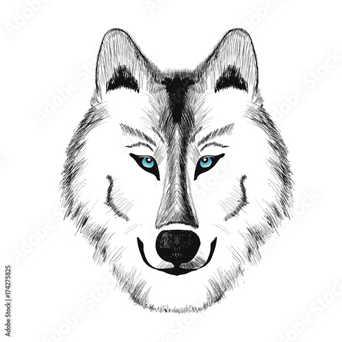 Bohemian wolf drawing