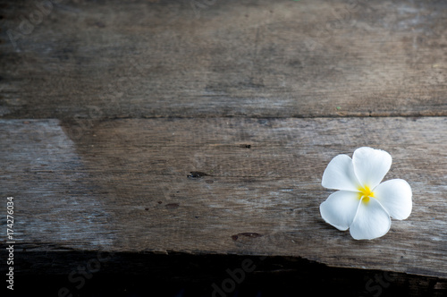 white flower on wood black ground