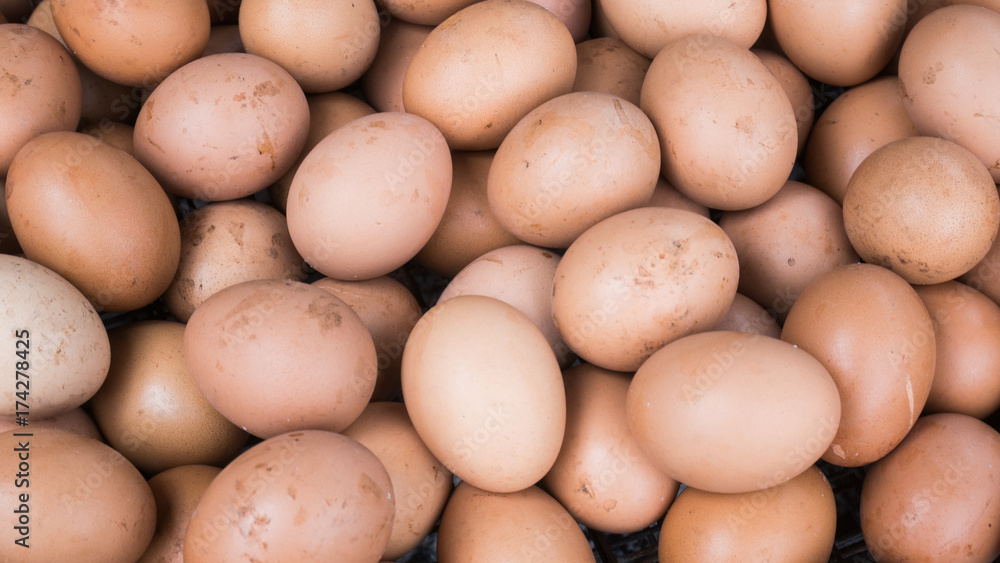 Top view group of egg after hens come out in animal concept. Top view group of egg after hens come out in animal concept.